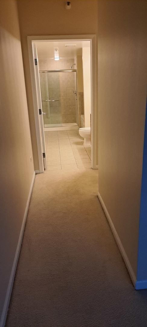 hall with baseboards and carpet flooring