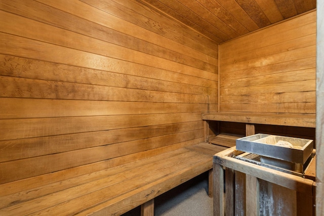 view of sauna with carpet floors