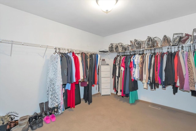 walk in closet featuring carpet flooring