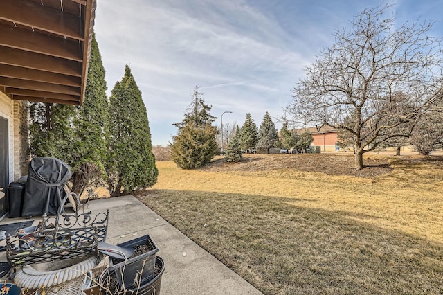 view of yard featuring a patio