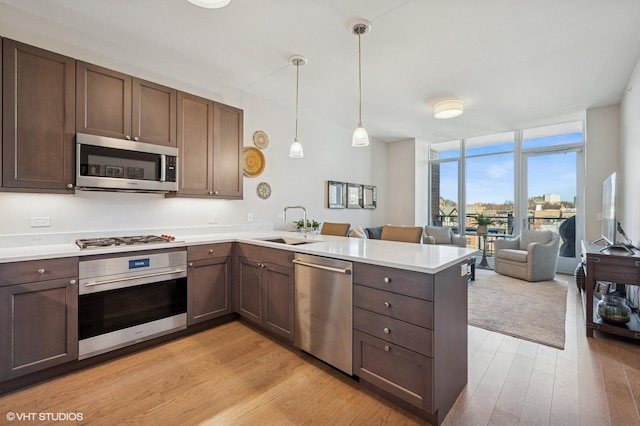 kitchen featuring a wall of windows, light wood finished floors, a peninsula, appliances with stainless steel finishes, and open floor plan