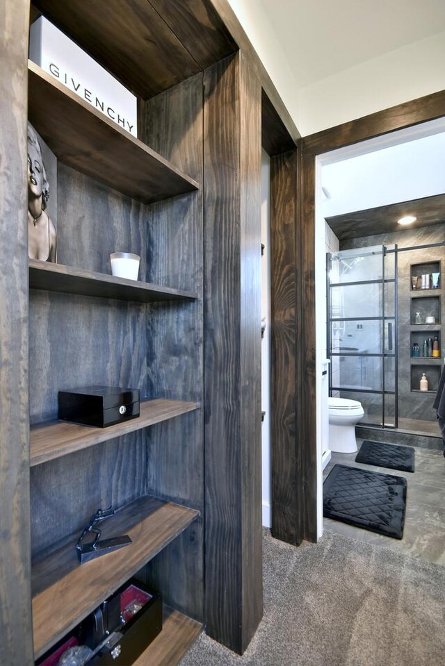 interior space featuring a shower stall and toilet