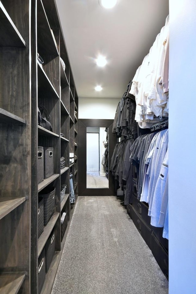 walk in closet featuring carpet floors