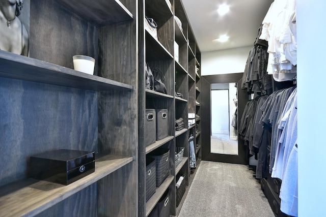 walk in closet with carpet floors