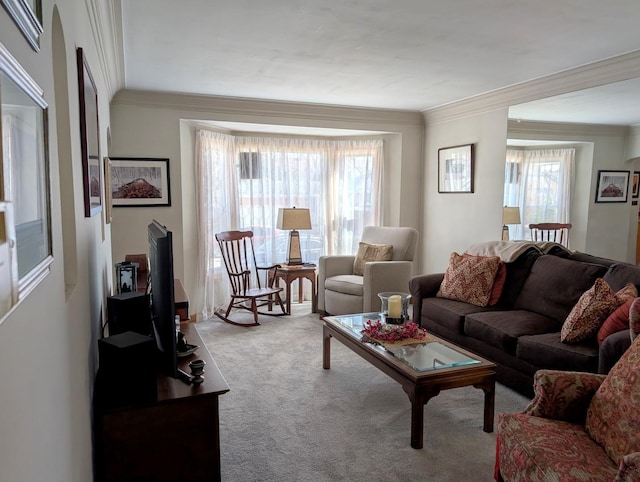 carpeted living area with crown molding