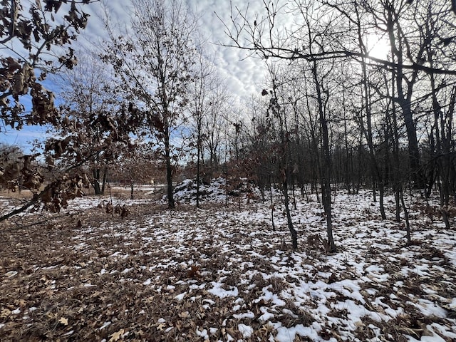 view of snowy landscape