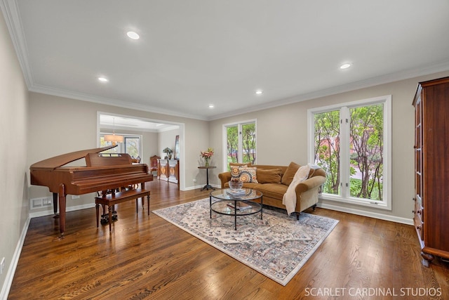 living room featuring a healthy amount of sunlight, baseboards, and dark wood-type flooring