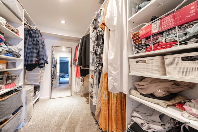 walk in closet featuring carpet floors