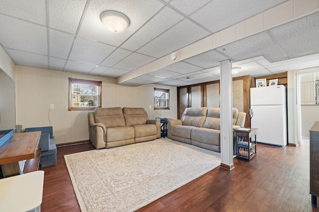 living area with dark wood finished floors, a drop ceiling, and a healthy amount of sunlight