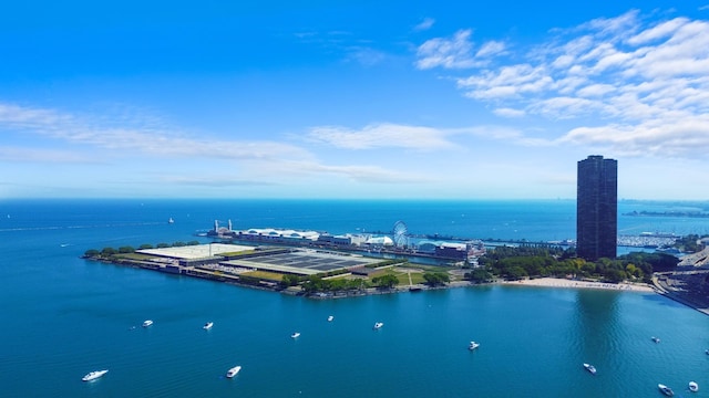 drone / aerial view with a water view