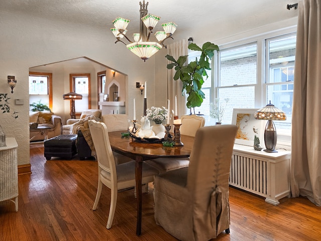 dining room with wood-type flooring and a textured ceiling