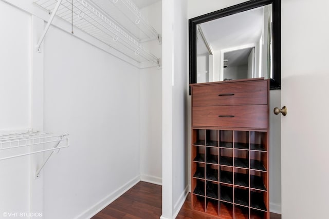 spacious closet featuring dark wood-style flooring