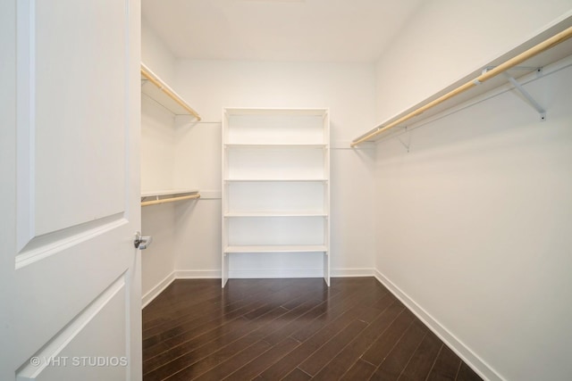 walk in closet with dark wood-style floors