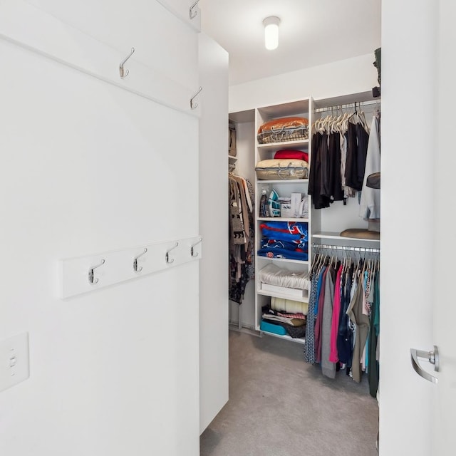 view of walk in closet