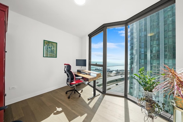 office area featuring a wall of windows, wood finished floors, and baseboards