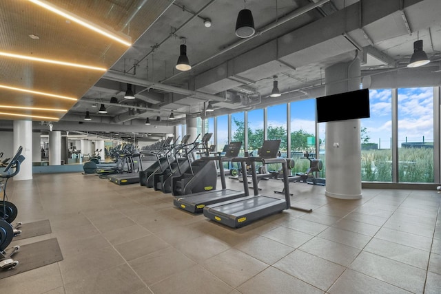 exercise room featuring track lighting and floor to ceiling windows