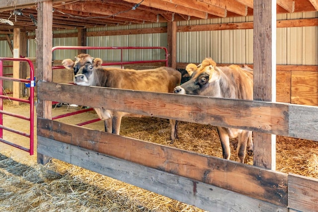 view of horse barn