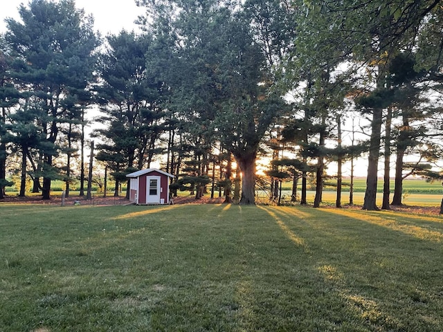 view of yard with an outbuilding and a shed