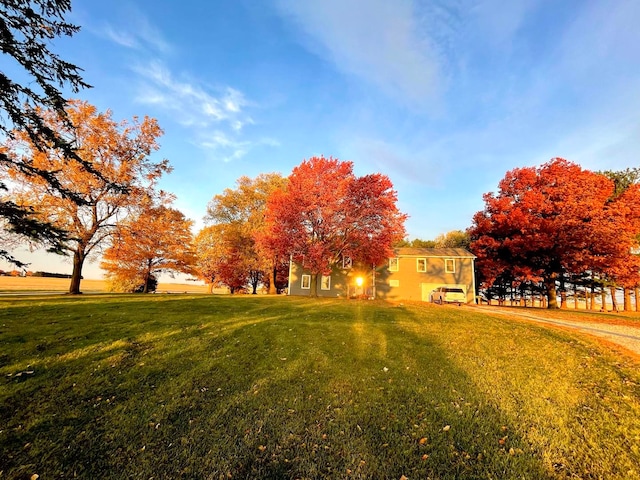 view of community featuring a yard