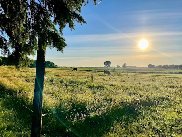 view of local wilderness featuring a rural view