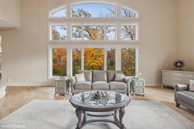 living area with a wealth of natural light, baseboards, a high ceiling, and wood finished floors