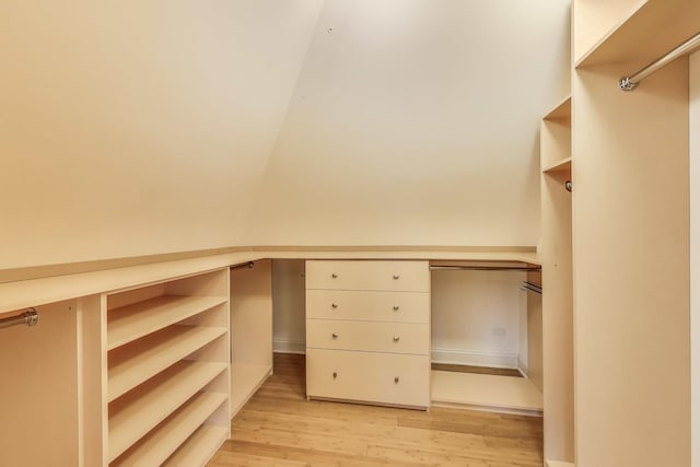 spacious closet with light wood finished floors