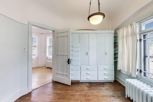 closet featuring radiator heating unit