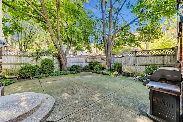 view of patio / terrace with a fenced backyard