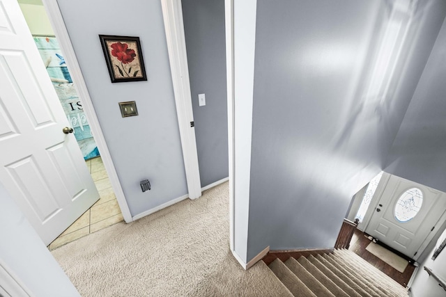 interior space featuring baseboards and carpet floors