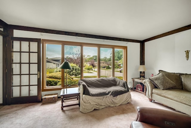 living area with carpet floors