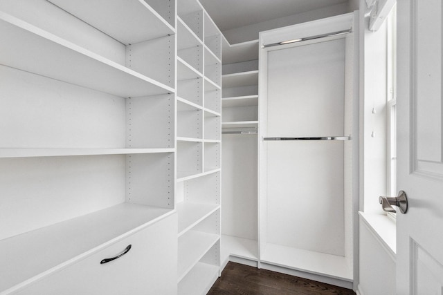 walk in closet with dark wood-style floors