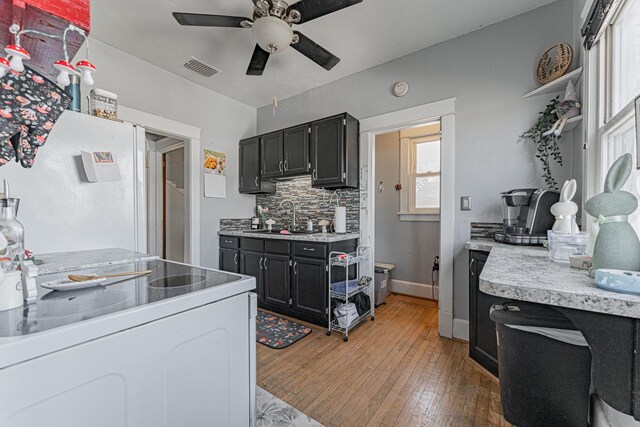 kitchen featuring decorative backsplash, dark cabinetry, light wood-style flooring, and a sink
