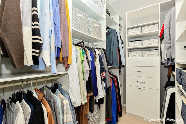 view of spacious closet