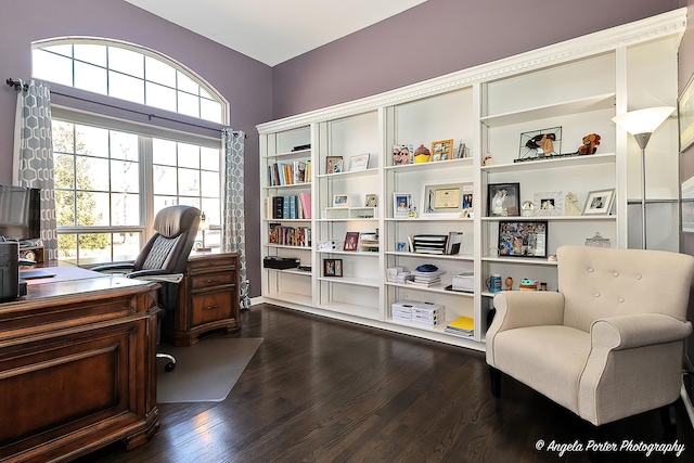 office space with dark wood-style floors