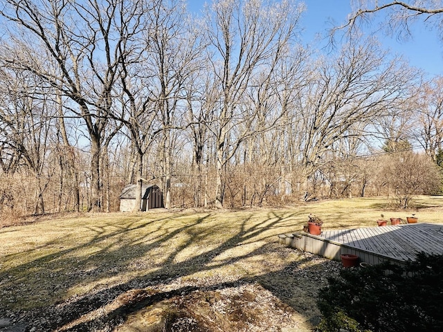 view of yard featuring an outbuilding and a shed