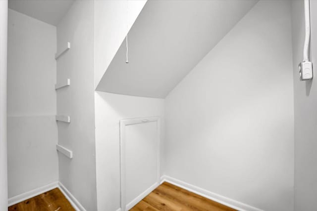 spacious closet featuring wood finished floors