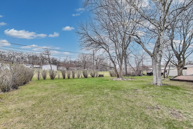 view of yard
