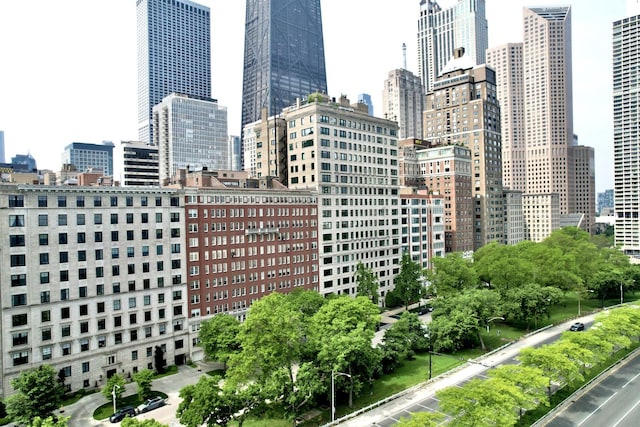 219 E Lake Shore Dr Unit 2Abc, Chicago, IL 60611 - skyline view