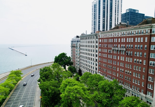 219 E Lake Shore Dr Unit 2Abc, Chicago, IL 60611 - view of property with a view of city and a water view