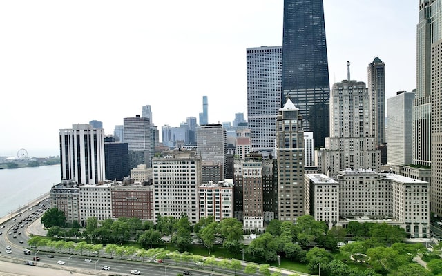 219 E Lake Shore Dr Unit 2Abc, Chicago, IL 60611 - view of city skyline featuring a large body of water