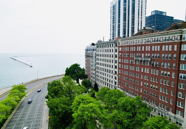 219 E Lake Shore Dr Unit 2Abc, Chicago, IL 60611 - photo 33