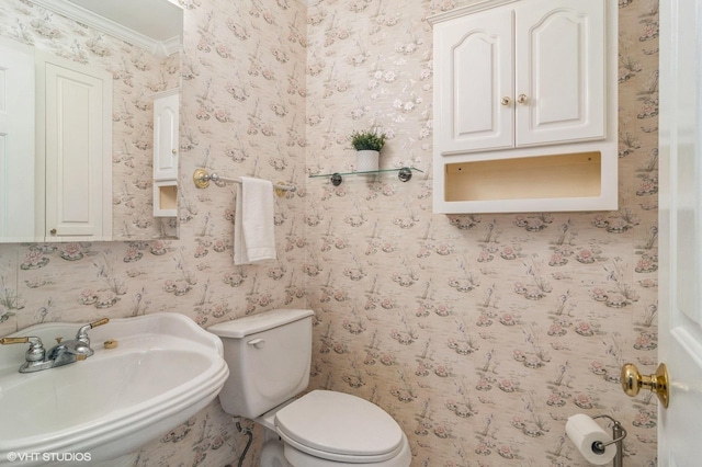 bathroom with wallpapered walls, crown molding, toilet, and a sink