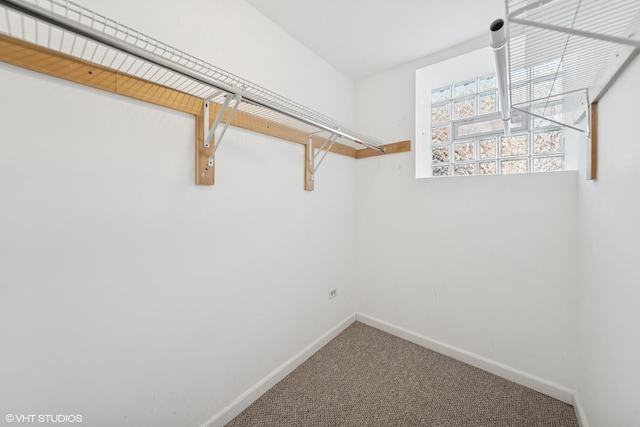 walk in closet featuring carpet floors