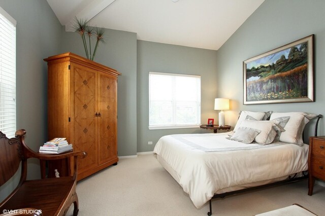 1616 S Indiana Ave Unit A2, Chicago, IL 60616 - bedroom featuring vaulted ceiling, light colored carpet, and baseboards