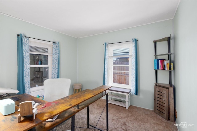 view of carpeted home office