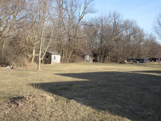 view of yard with an outdoor structure