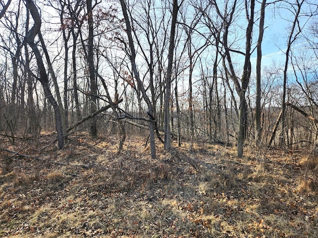 LOT1356 Green Valley Dr, Varna IL, 61375 land for sale