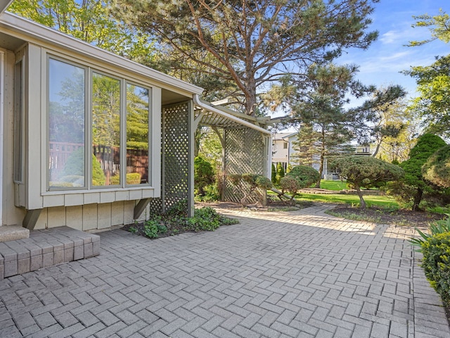 41 Mockingbird Ln, Oak Brook, IL 60523 - view of patio / terrace