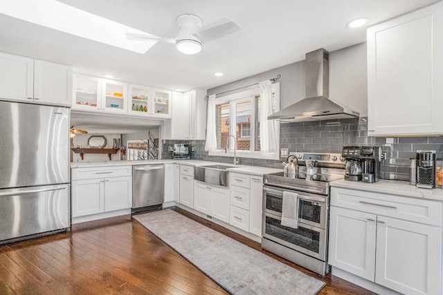 kitchen with a sink, wall chimney range hood, ceiling fan, and stainless steel appliances