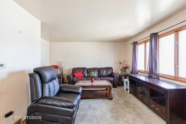 living room featuring light carpet